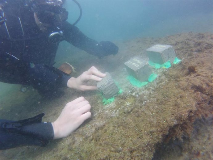 Ivace+i desarrolla diques de hormigón sostenible fabricados con ceniza del volcán de La Palma y restos de paja del arroz