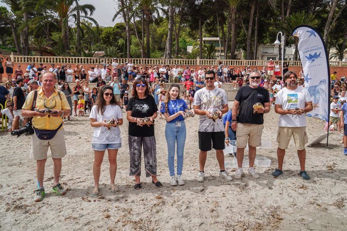 Siete tortugas nacidas de un nido de Dénia el pasado verano ya están en el mar