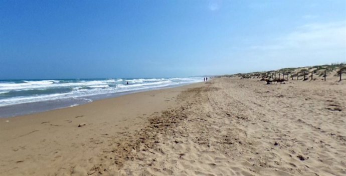 Archivo - Una playa de Guardamar del Segura (Alicante), en una imagen de archivo