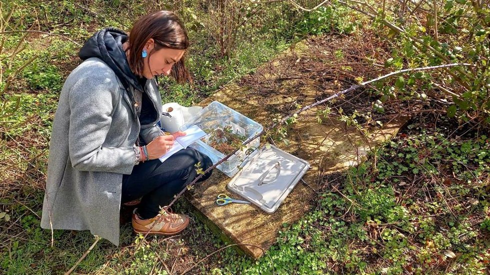 PROYECTO RIOJANO FLORA MEMORIAE, PROMOVIDO POR ESPACIOARTEVACA, HA SIDO SELECCIONADO PARA FORMAR PARTE DE LA BIENAL MUJERES EN LAS ARTES VISUALES 2024