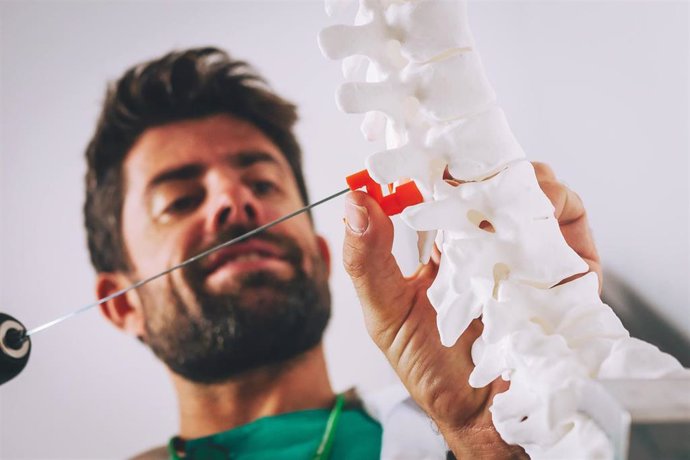 Archivo - Huesos artificiales en 3D con materiales sostenibles.