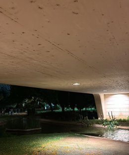 Imagen de la lluvia en el antiguo cauce