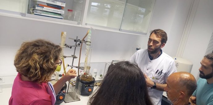 El Centro de Innovación en Bioeconomía Rural de Teruel (CITAte) acogerá del 12 al 14 de junio el Curso 'Plantas aromáticas y medicinales. Cultivo, Transformación y propiedades'.