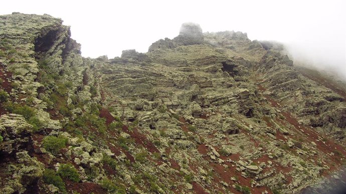 Archivo - Líquenes en el volcán de la Corona