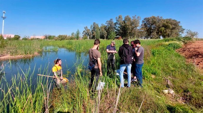 La UPO presenta CEI-Cambio y la influencia de la agricultura regenerativa sobre la biodiversidad y el funcionamiento de espacios adehesados.