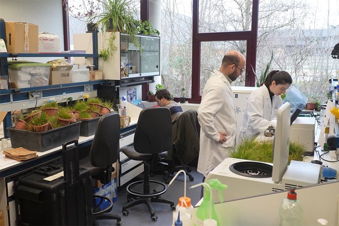 Imagen de las macetas.