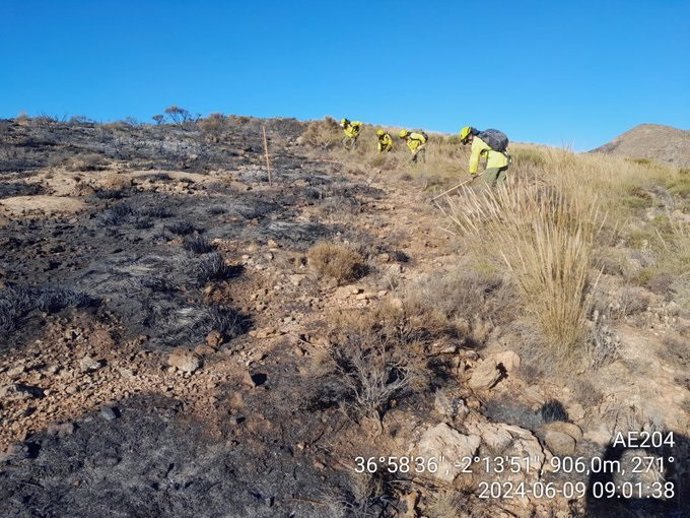 Efectivos trabajando en la extinción del incendio este domingo en el paraje El Jabonero de Níjar (Almería).