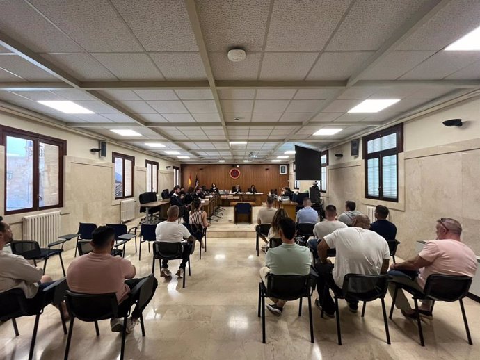 Los acusados del grupo organizado de tráfico de anabolizantes de Mallorca, en la Audiencia Provincial.