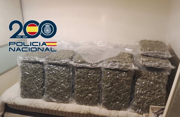 Marihuana intervenida en la operación Celaví en Granada.