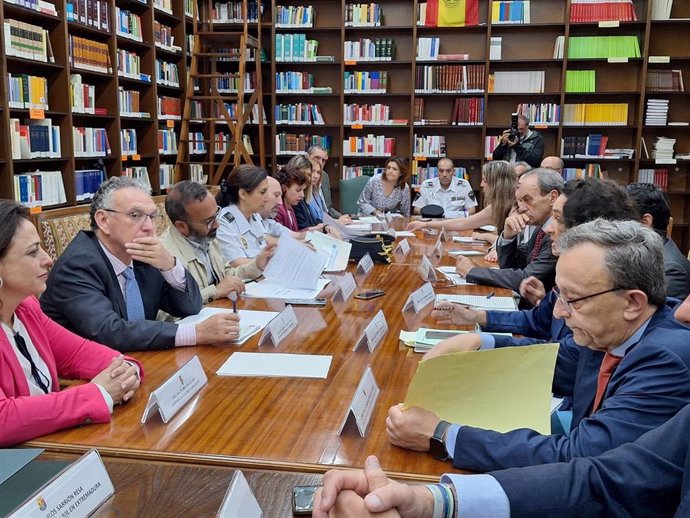 Reunión de la Comisión Territorial contra la Violencia de Género en el TSJEx