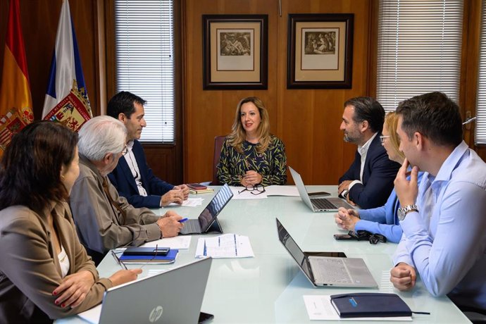 La presidenta del Cabildo de Tenerife, Rosa Dávila, en un consejo de administración de Canarilink