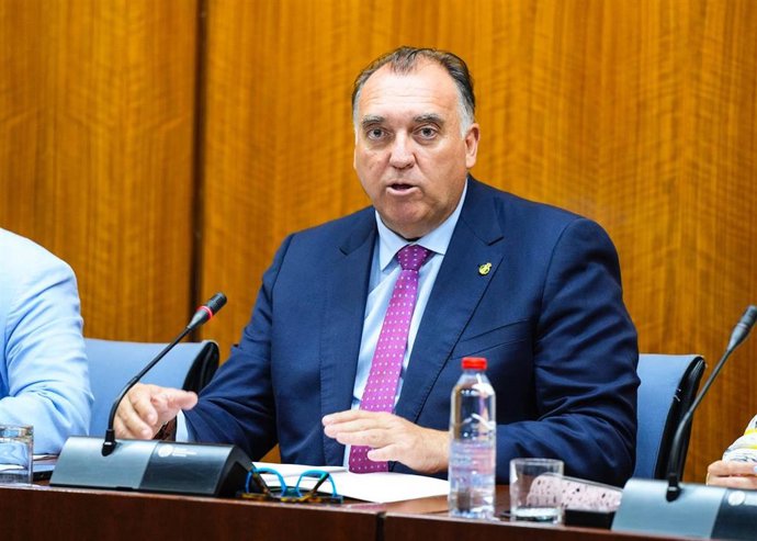 El consejero de Turismo, Cultura y Deporte, Arturo Bernal, durante su comparecencia.