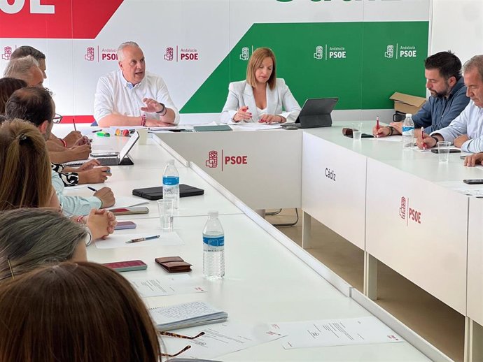 Ruiz Boix en la Ejecutiva provincial  del PSOE en Cádiz.