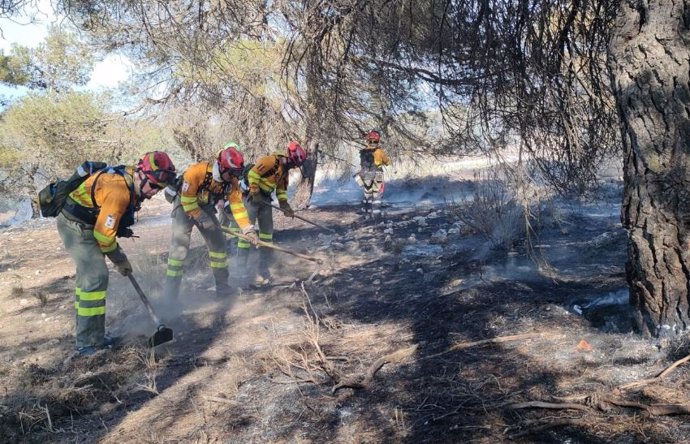 Los bomberos forestales trabajan en la zona para rematar la extinción y liquidar este incendio que ha tenido cuatro días inquietos a los vecinos de la zona.