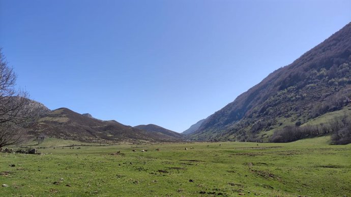 Archivo - Zora rural asturiana.