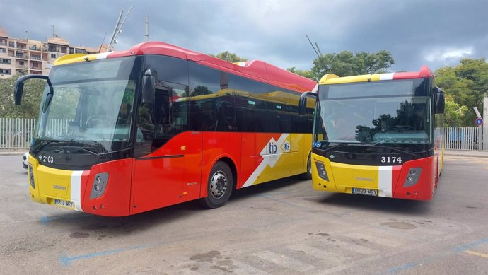 Nuevos autobuses de la red TIB de mayor capacidad.