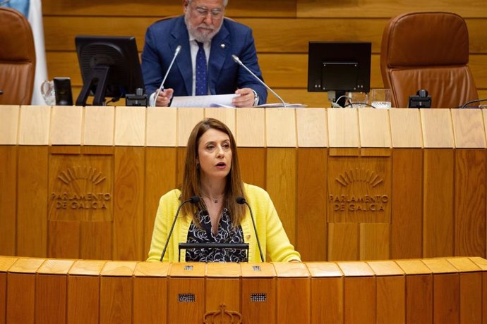 La conselleira de Medio Rural, María José Gómez, en el Parlamento