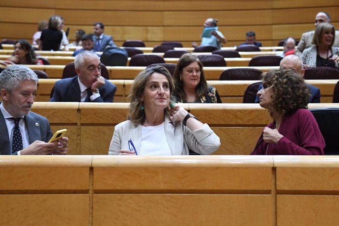 La vicepresidenta tercera y ministra para la Transición Ecológica y el Reto Demográfico, Teresa Ribera (c), durante una sesión de control al Gobierno, en el Senado, a 11 de junio de 2024, en Madrid (España). 