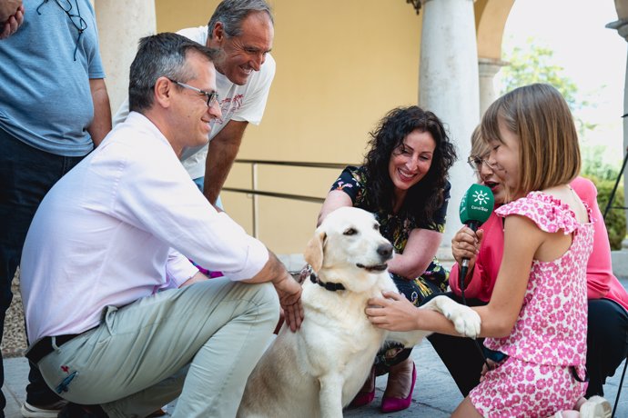 Ambas han sido distinguidas en búsqueda y marcaje de objetos.