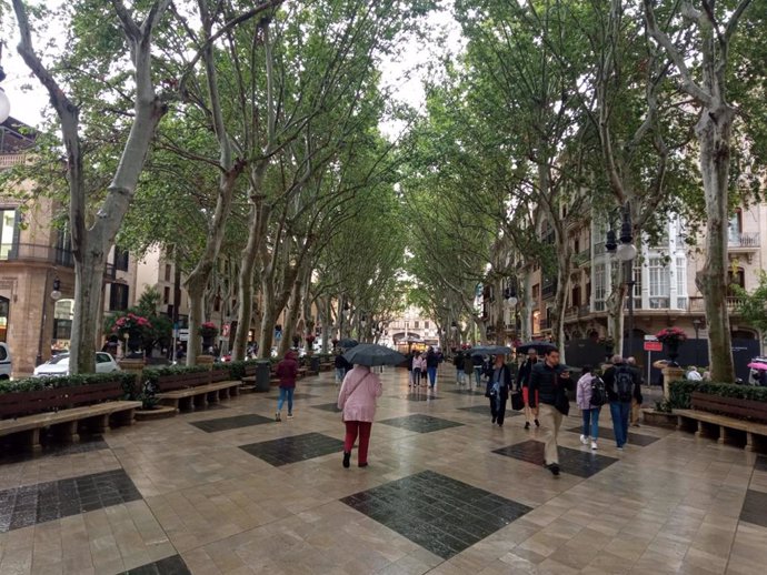 Archivo - Varias personas pasean por el centro de Palma en un día de lluvia.