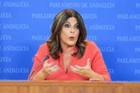 Férriz recuerda la victoria "holgada" de Espadas en primarias y reta a sus críticos a plantear alternativas en congresos