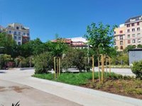 La plaza de Olavide suma más espacio peatonal, 160 nuevos árboles y 21.000 arbustos tras su remodelación