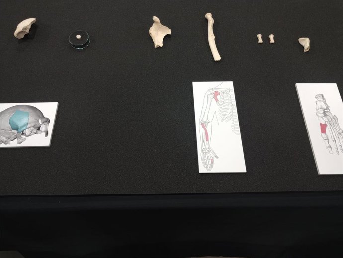 Vídeo de la noticia