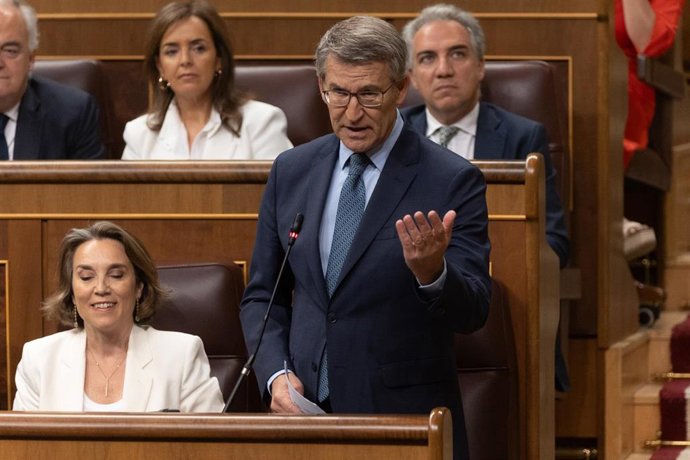 El presidente del PP, Alberto Núñez Feijóo, interviene durante una sesión de control, en el Congreso de los Diputados, a 12 de junio de 2024, en Madrid (España). Durante el pleno del Congreso,  el líder del PP y el máximo dirigente de Vox han pedido al 