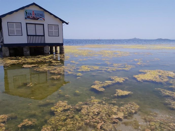 Los ecologistas han denunciado con estas banderas negras el estado del Mar Menor