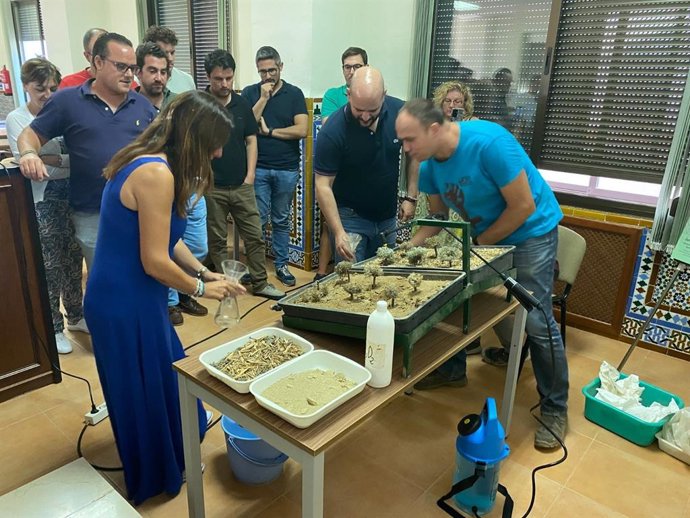 Participantes en curso de Olivicultura del Ifapa, en una imagen de archivo.