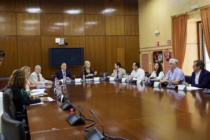 Constitución del grupo de trabajo de la Junta y las facultades públicas de Educación para impulsar nuevas metodologías en matemáticas.