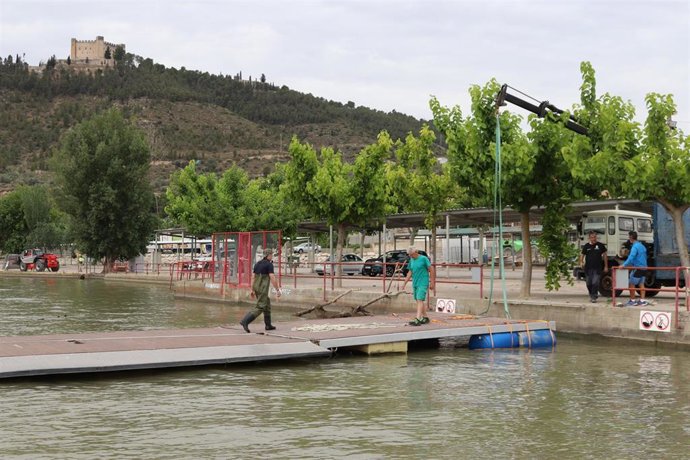 Operación de retirada de los pantanales para facilitar los trabajos antes de proceder a la retirada de sedimentos