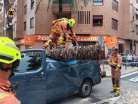 Herido un hombre tras la caída de una palmera de grandes dimensiones sobre tres vehículos en Torrent