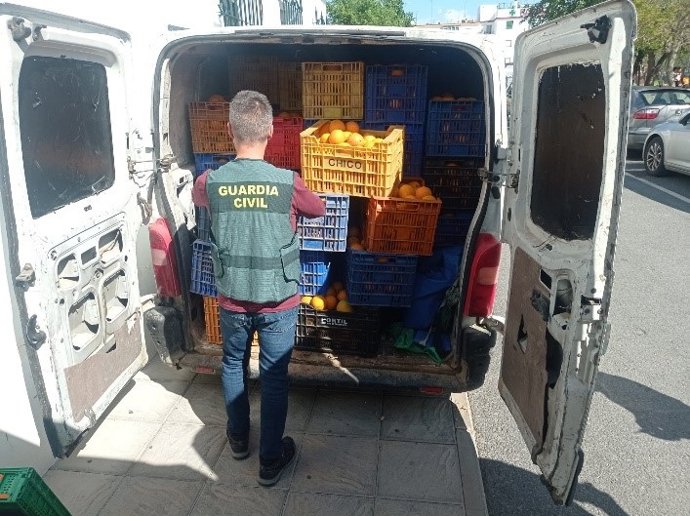 La Guardia Civil detiene a ocho personas por el robo de 25.000 kilos de naranjas tras interceptar un furgón en Carmona (Sevilla)
