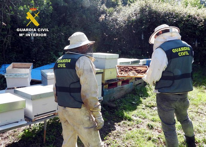 Colmenas localizadas