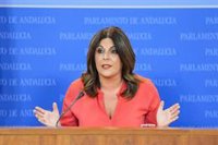 PSOE-A dice que PP-A se queda "solo" en la colocación del busto de Clavero Arévalo por su "soberbia absoluta"