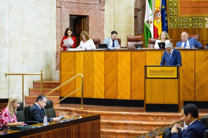 El diputado del PSOE-A Josele Aguilar dirige una interpelación en el Pleno del Parlamento al consejero de la Presidencia, Antonio Sanz.