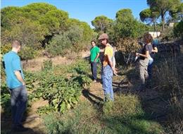 Investigadores en un huerto urbano de Sevilla.