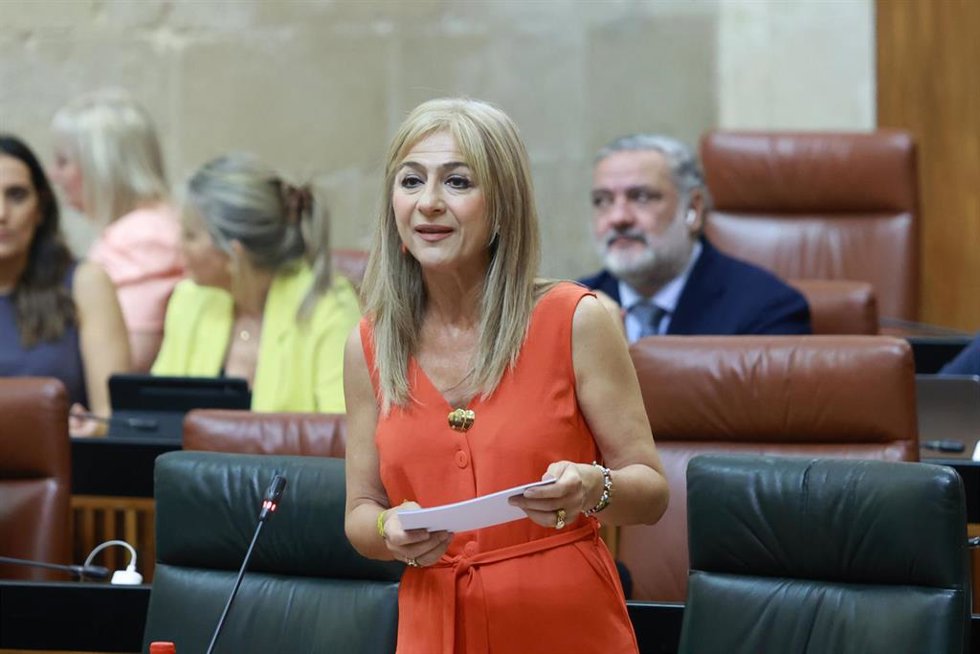 La consejera de Desarrollo Educativo y Formación Profesional, Patricia del Pozo., interviene en el pleno del Parlamento. ARCHIVO. 