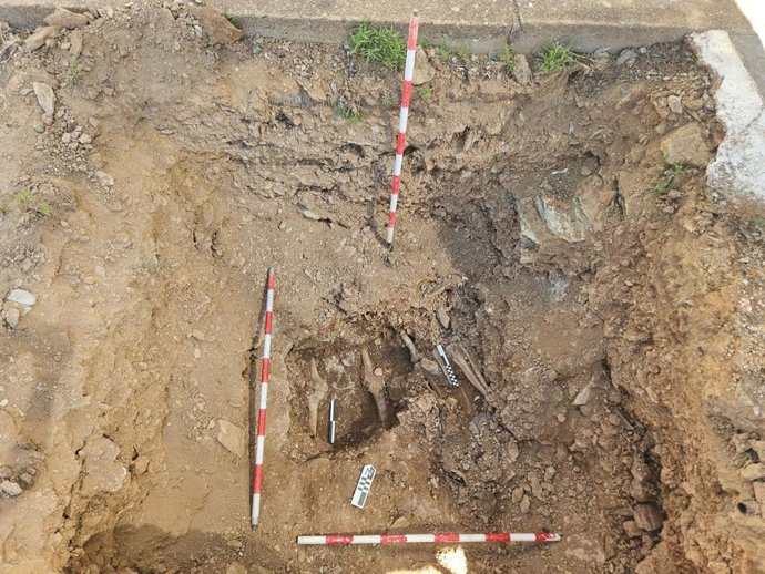 Parte de restos hallados en la fosa del cementerio de Valverde del Camino, dentro de los trabajos realizados en base a la Ley de Memoria Democrática.