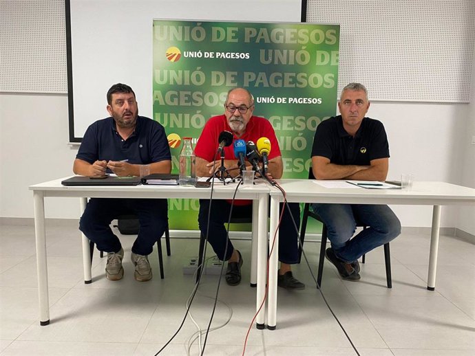 El responsable de Sectors Agrícoles de UP, Miquel Piñol; el de Temporers, Jaume Pedrós, y el de Fruita Dolça, Jaume Gardeñes, este jueves en rueda de prensa en Lleida