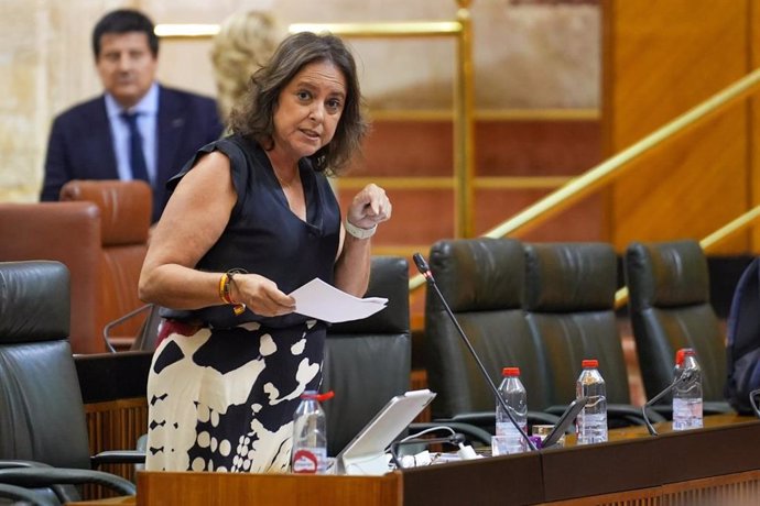 La consejera de Salud y Consumo de la Junta de Andalucía, Catalina García, en el Pleno del Parlamento del 13 de junio de 2024.