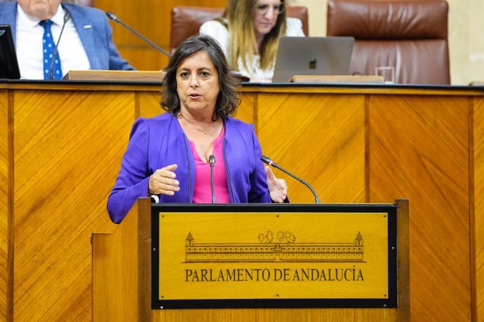 La consejera de Salud y Consumo de la Junta, Catalina García, ha destacado que el Gobierno andaluz ha invertido 330 millones de euros en cinco años en sanidad en la provincia de Málaga y ha puesto en valor la próxima licitación del tercer hospital.