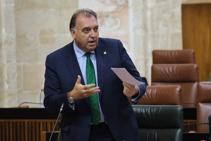 El consejero de Turismo, Cultura y Deporte, Arturo Bernal, en el pleno parlamentario celebrado este 13 de junio.