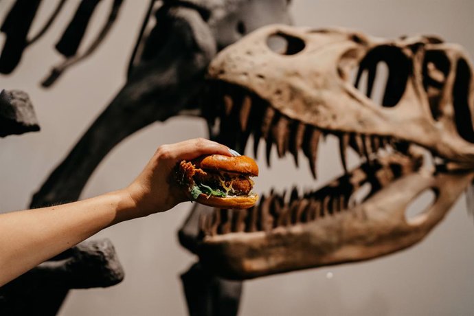 Experiencia para los cinco sentidos en el Museo de Ciencias Naturales de la mano de Foster's Hollywood