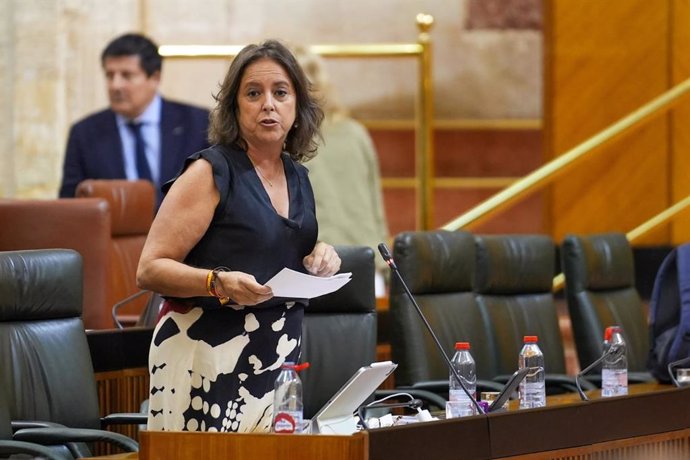 La consejera de Salud y Consumo, Catalina García, en el Pleno del Parlamento del 13 de junio de 2024.