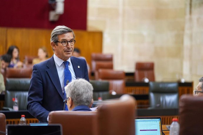 El consejero de Industria, Energías y Minas, Jorge Paradela, en el Pleno del Parlamento andaluz.