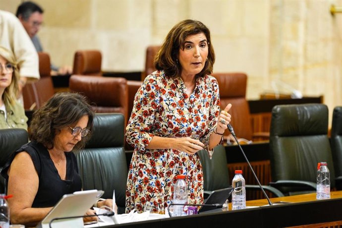 La consejera de Empleo, Empresa y Trabajo Autónomo, Rocío Blanco, en el Pleno del Parlamento andaluz.
