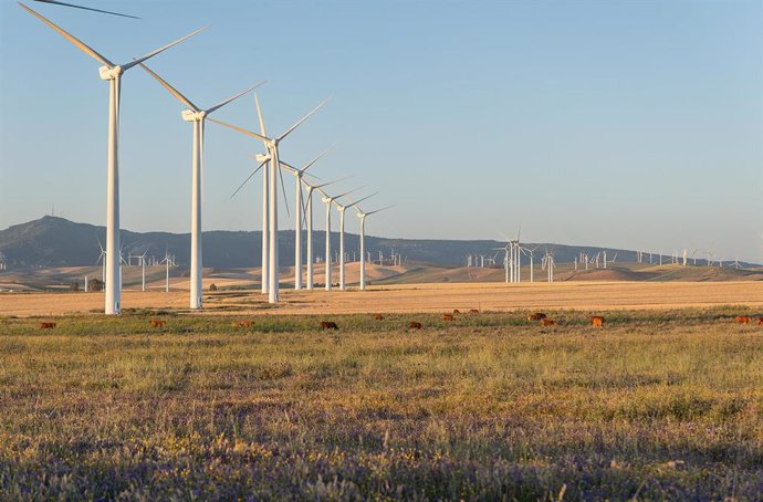 Parque eólico Tahivilla en Tarifa