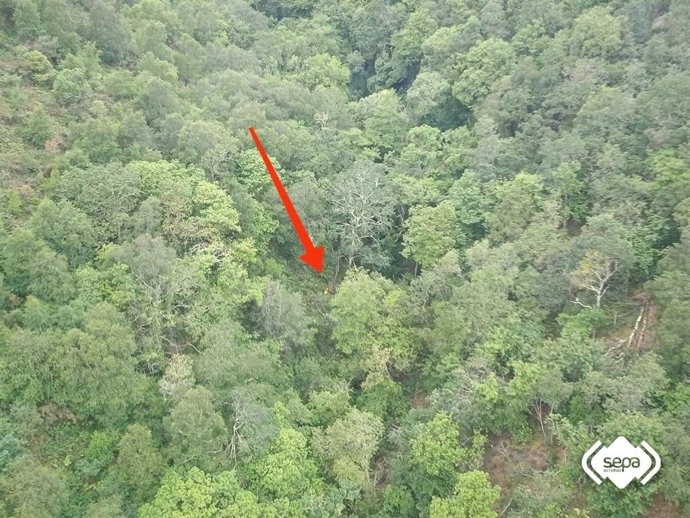 Lugar donde el peregrino fue localizado